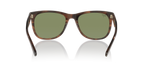 Brown Shiny
