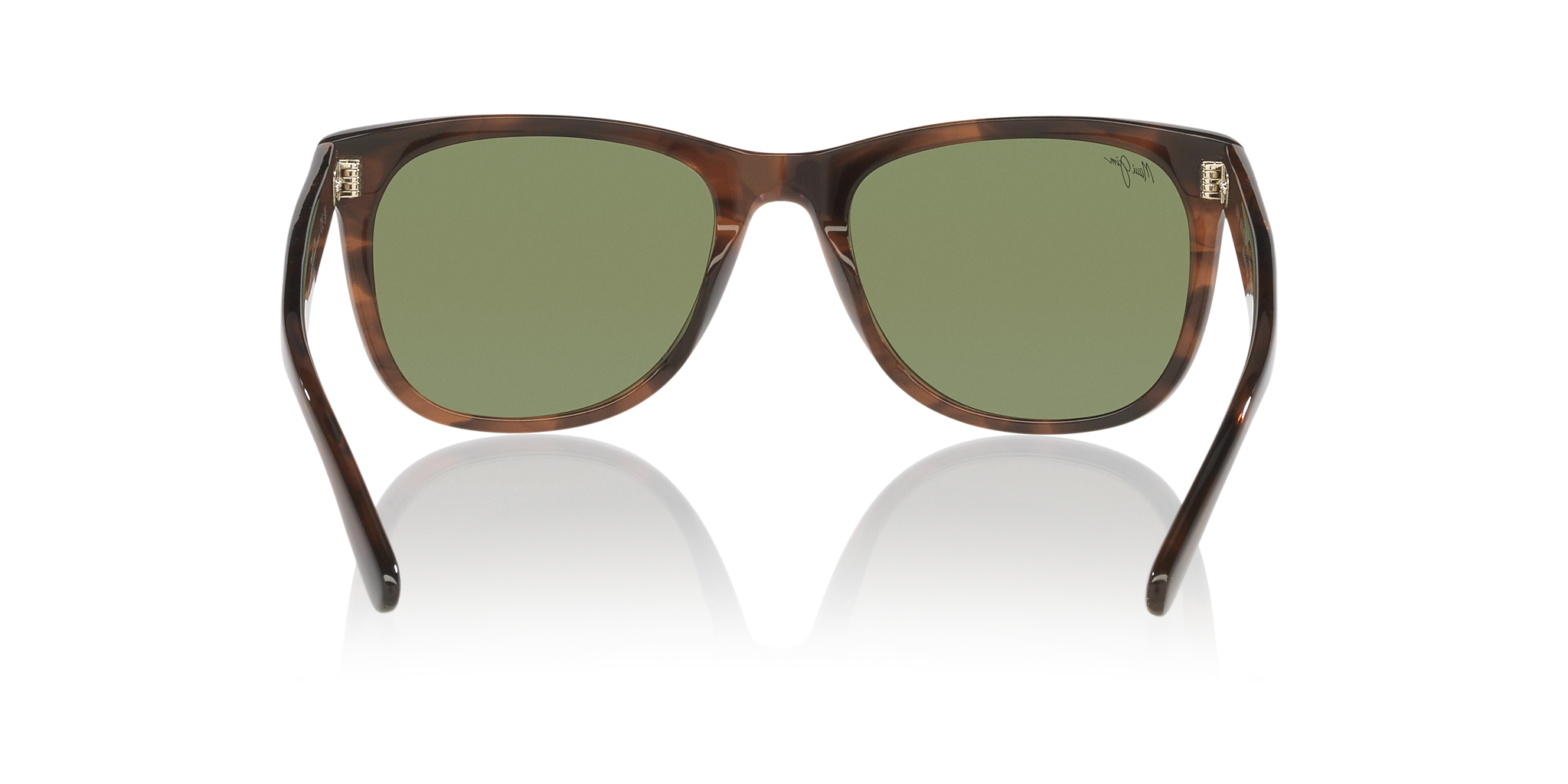 Brown Shiny