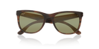 Brown Shiny