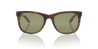 Brown Shiny