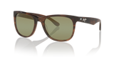 Brown Shiny