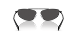 Black Shiny