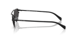 Black Shiny