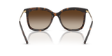 Dark Tortoise