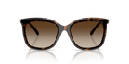 Dark Tortoise