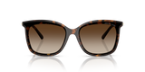 Dark Tortoise