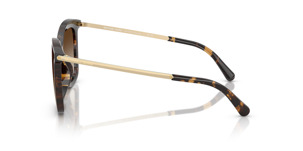 Dark Tortoise