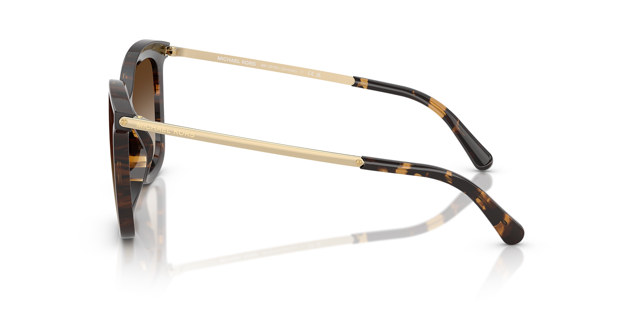 Dark Tortoise