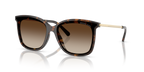 Dark Tortoise