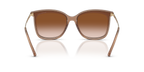 Brown Transparent