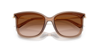 Brown Transparent