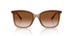 Brown Transparent