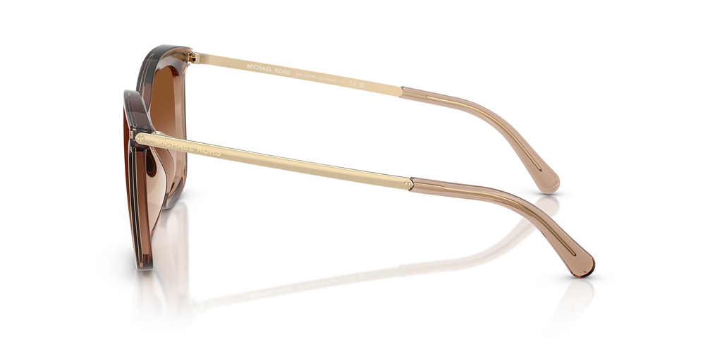 Brown Transparent