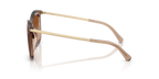 Brown Transparent