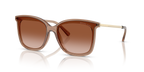 Brown Transparent