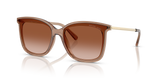 Brown Transparent - Brown Gradient