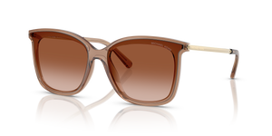 Brown Transparent - Brown Gradient