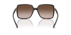 Dark Tortoise
