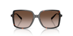 Dark Tortoise