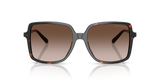 Dark Tortoise