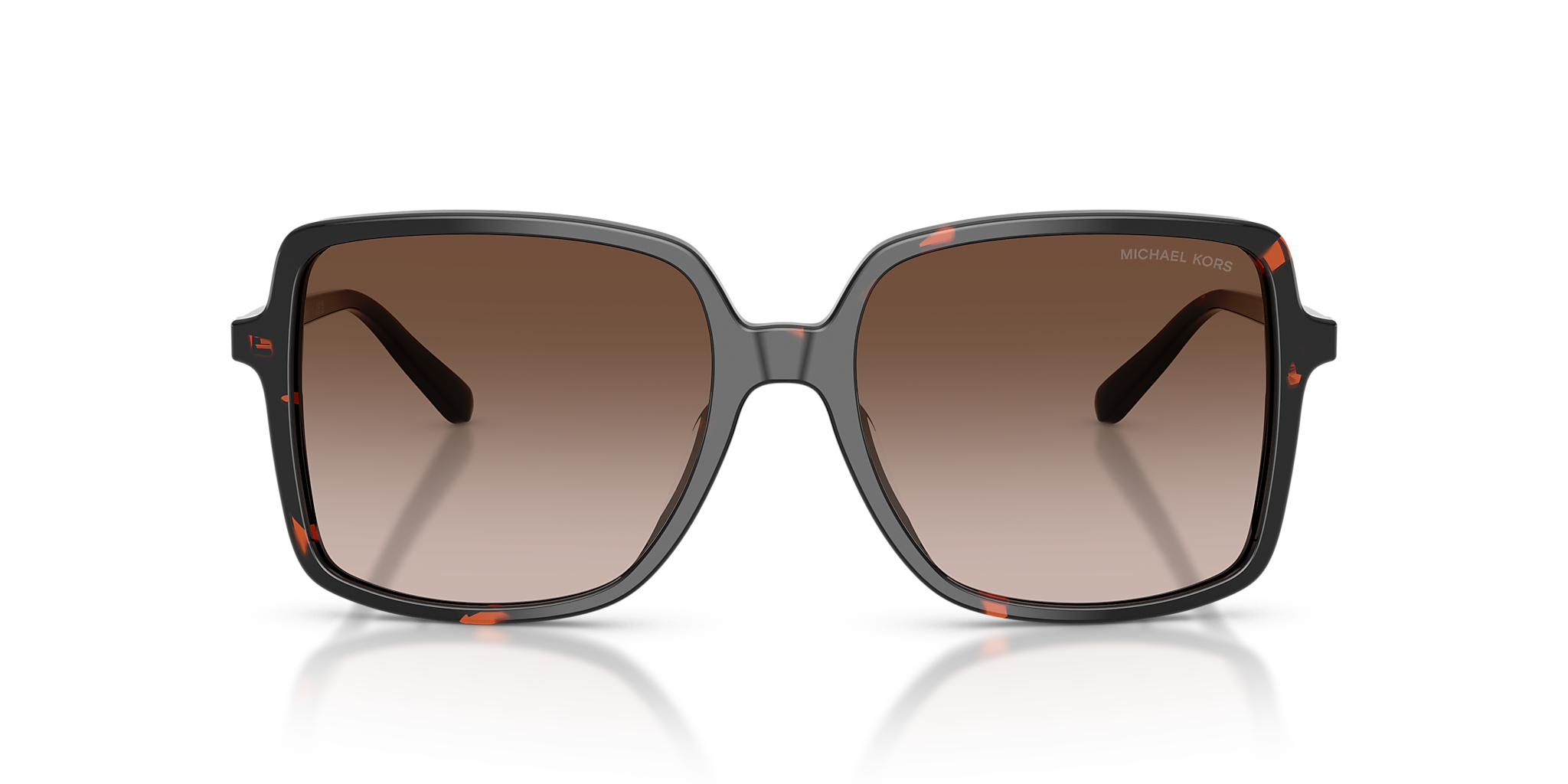 Dark Tortoise