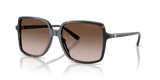 Dark Tortoise