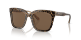 Brown - Brown Solid