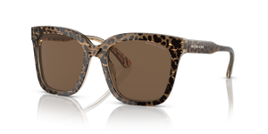 Brown - Brown Solid