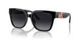 Black - Grey Gradient Polarized