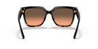 Black/Dark Tortoise