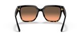 Black/Dark Tortoise