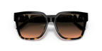 Black/Dark Tortoise