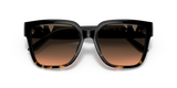 Black/Dark Tortoise
