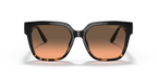 Black/Dark Tortoise