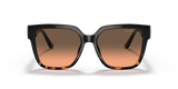 Black/Dark Tortoise