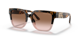 Tortoise - Brown Pink Gradient