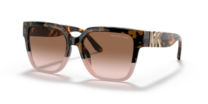 Tortoise - Brown Pink Gradient