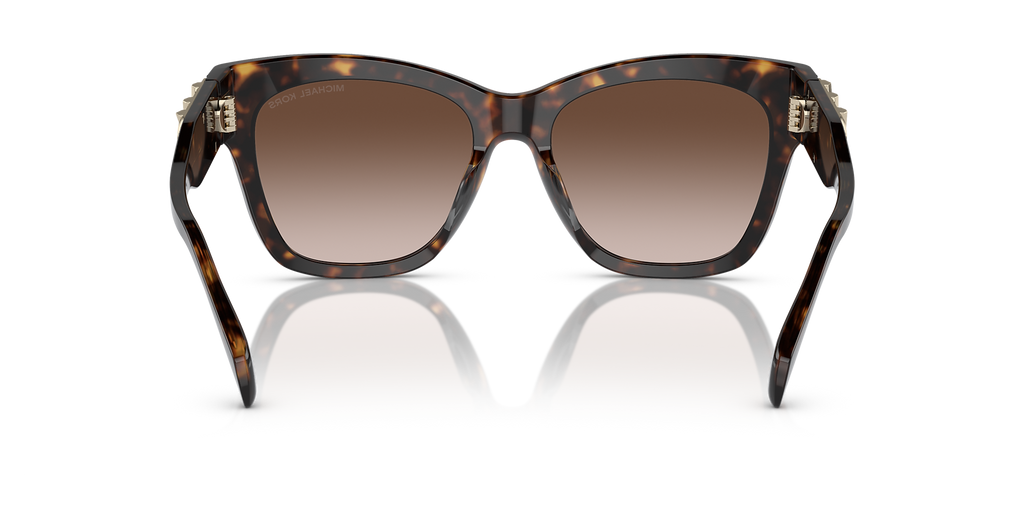 Dark Tortoise