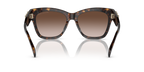 Dark Tortoise