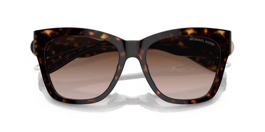 Dark Tortoise