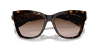 Dark Tortoise