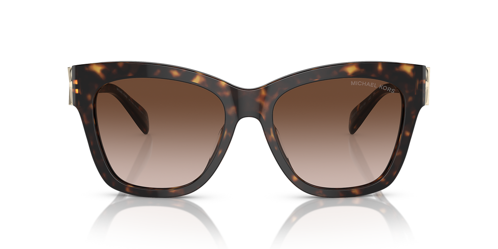 Dark Tortoise