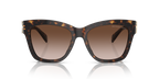 Dark Tortoise