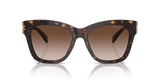 Dark Tortoise
