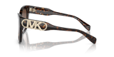 Dark Tortoise
