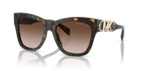 Dark Tortoise