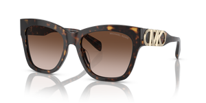 Dark Tortoise - Brown Gradient