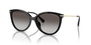 Black - Dark Grey Gradient