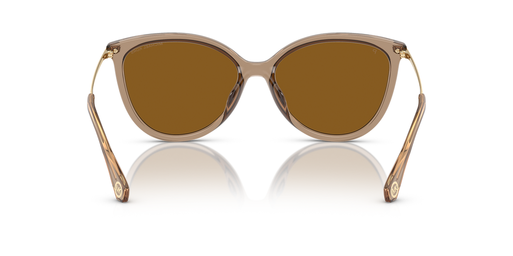 Brown Transparent