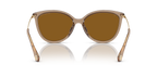 Brown Transparent